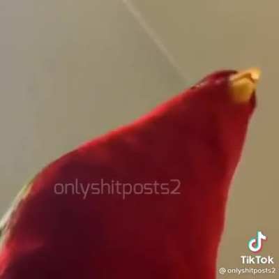 Bruh