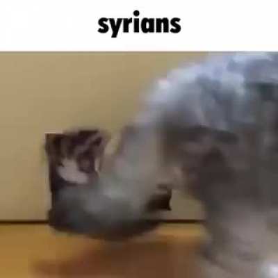 very zased