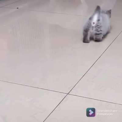 :3