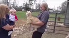 Infant meets baby goat