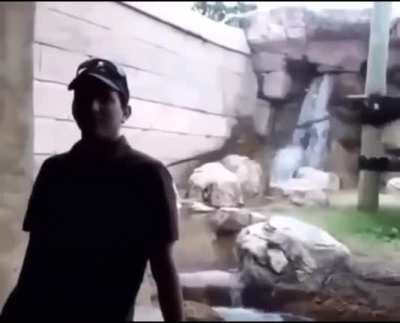 Monke when the