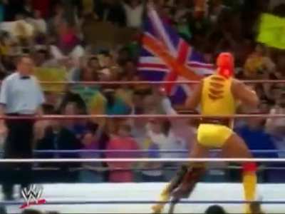 u_Hulkster01