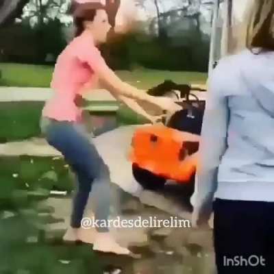 Boink