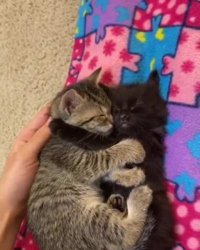 Friends
