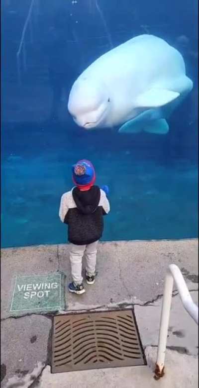 When you're arguing with someone bigger than you