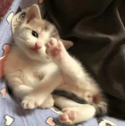 hi there