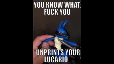 Lucario_irl