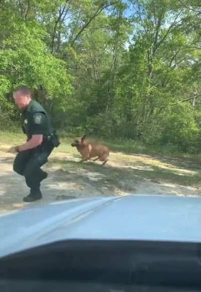 He left the dog.