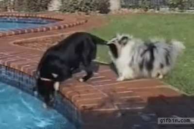 A helping mouth!