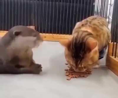 No. Nothing to see here