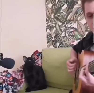 Whisker Biscuit Blues