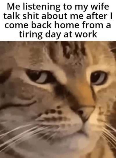 Please stop!