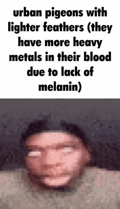 pshat