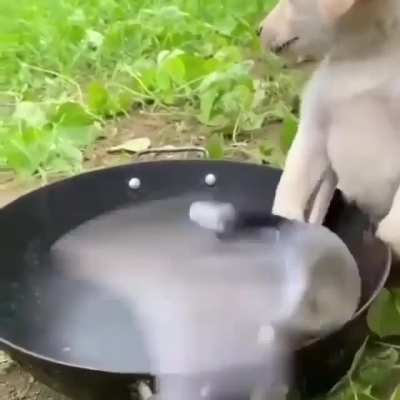 Cockin