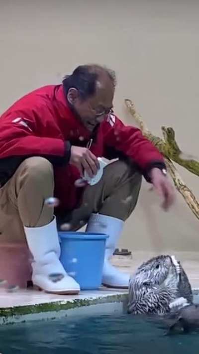 Lovely man playing with an otter at the zoo.
