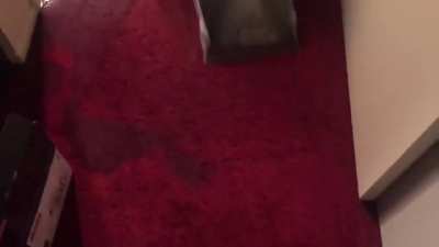Rumor has it they are still vacuuming that floor to this very day.