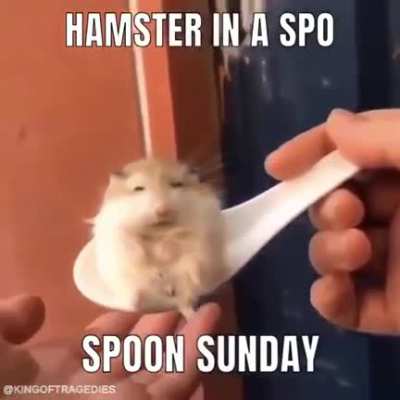 Orslo