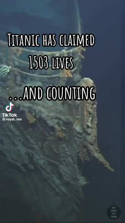 1503 Lives
