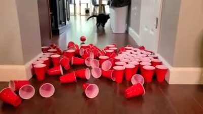 Didn't quite make it... (link to full video in comments)