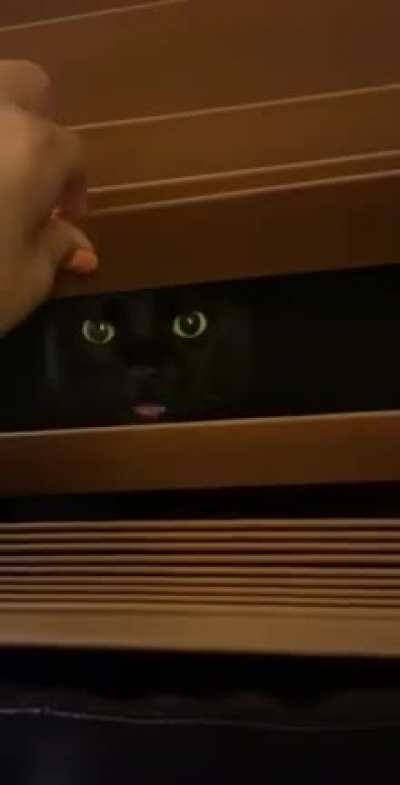 The black beyond the blinds