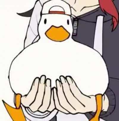 Duck 2