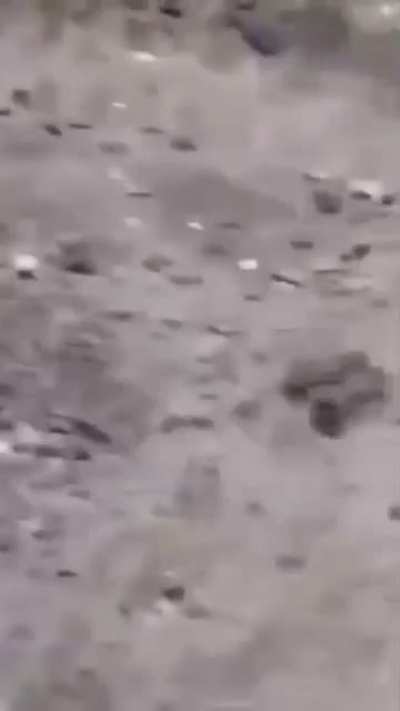 [18+] The result of the battle between the invaders and the army of Ukraine. Warning! there are a lot of corpses of Russian soldiers