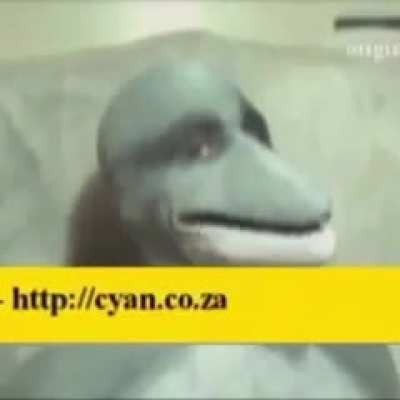 001010101010191010101016901010101010101010