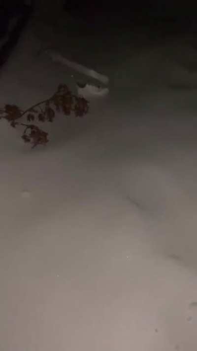 Kicking snow at night
