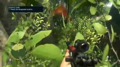 Grenade?!