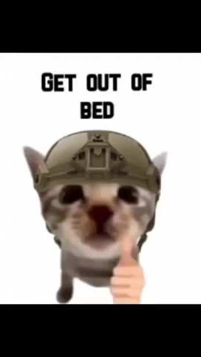 #135 meme spam