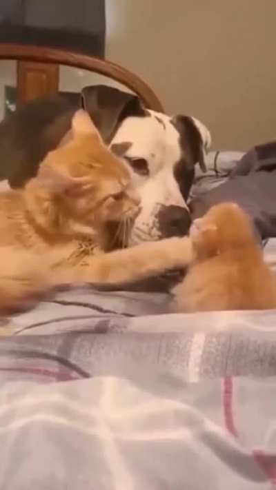 True love🤗