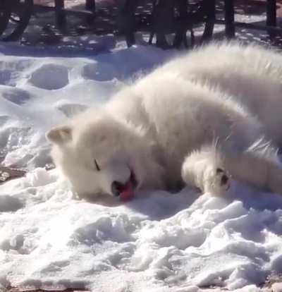 Lick lick lick lick