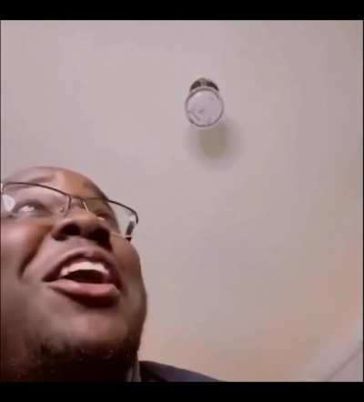 d o g