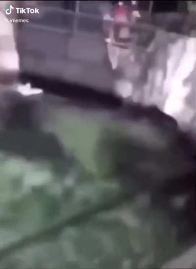 AAAAAAAAAAAAAAAA