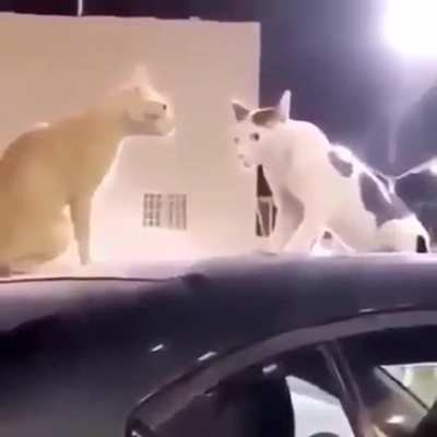 😦