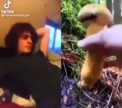 Shroom experience