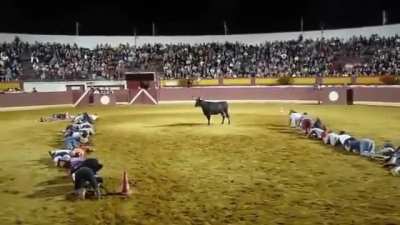 Technically... the bull's losing?