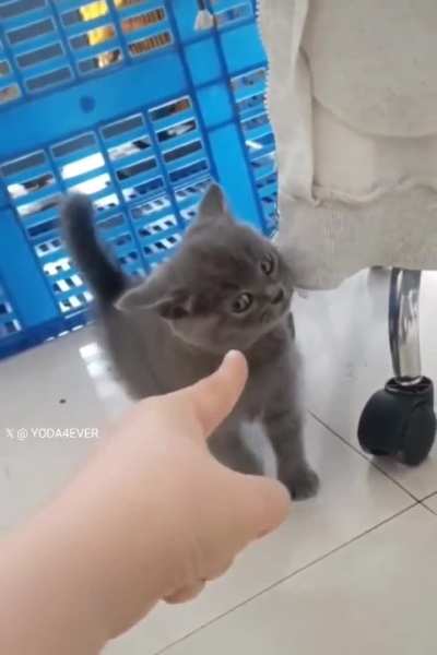 How dare you point at me.
