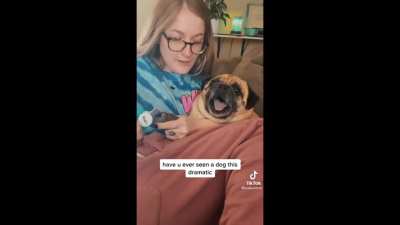 Maybe maybe maybe