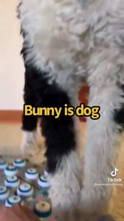 I, Hooman