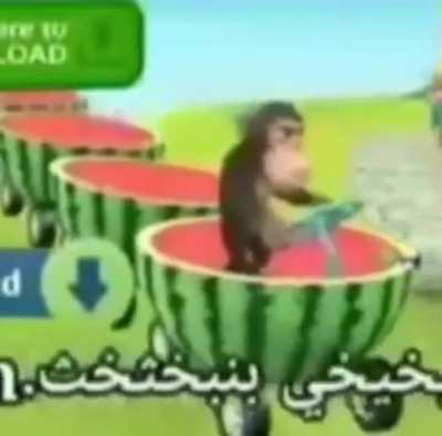 watmeln monke train