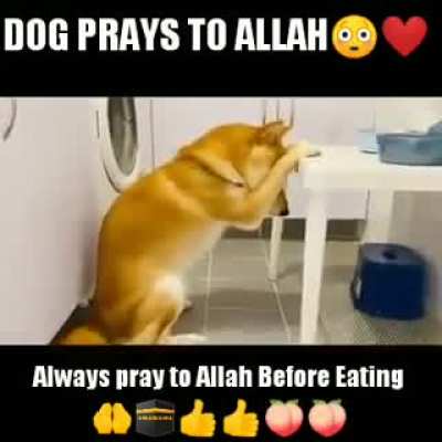 Elhamdulilah I have food on my plate