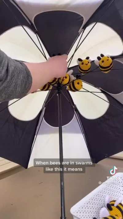 Rehoming bees