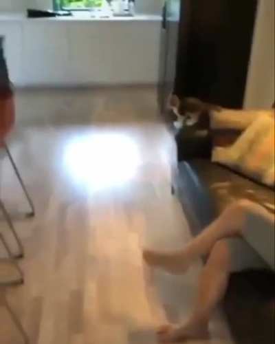 What a jump