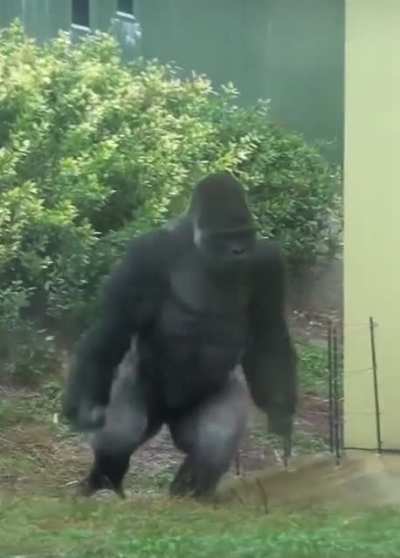Me and my homies sneaking out for a joint