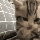 Are you... are you filming me?