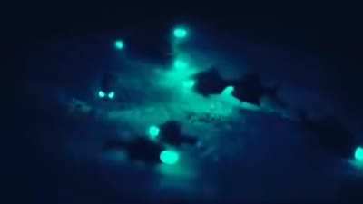 🔥 Out of This World Glowing Fish Eyes 🔥