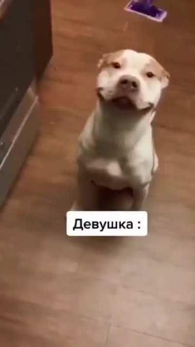Твоя сучка ждёт тебя с работы