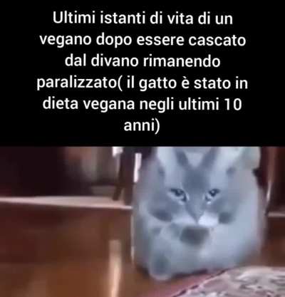 Si