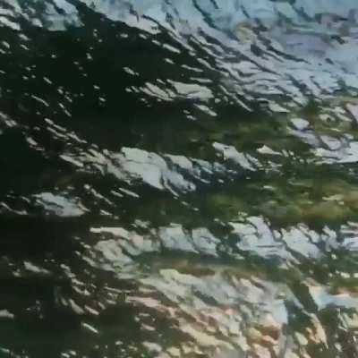 🌊🏄‍♀️<wbr>🏄‍♂️